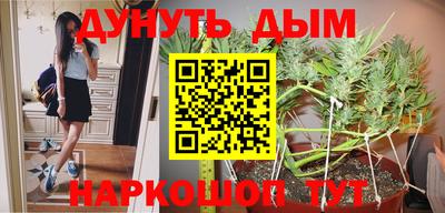 mdma Аргун