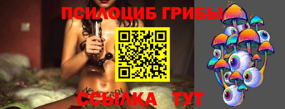 Псилоцибиновые грибы GOLDEN TEACHER  Вход с VPN  Артём  Галлюциногенные грибы прущие грибы 